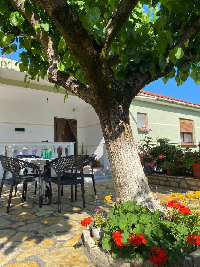 Vjosa Guest House Memaliaj Zewnętrze zdjęcie