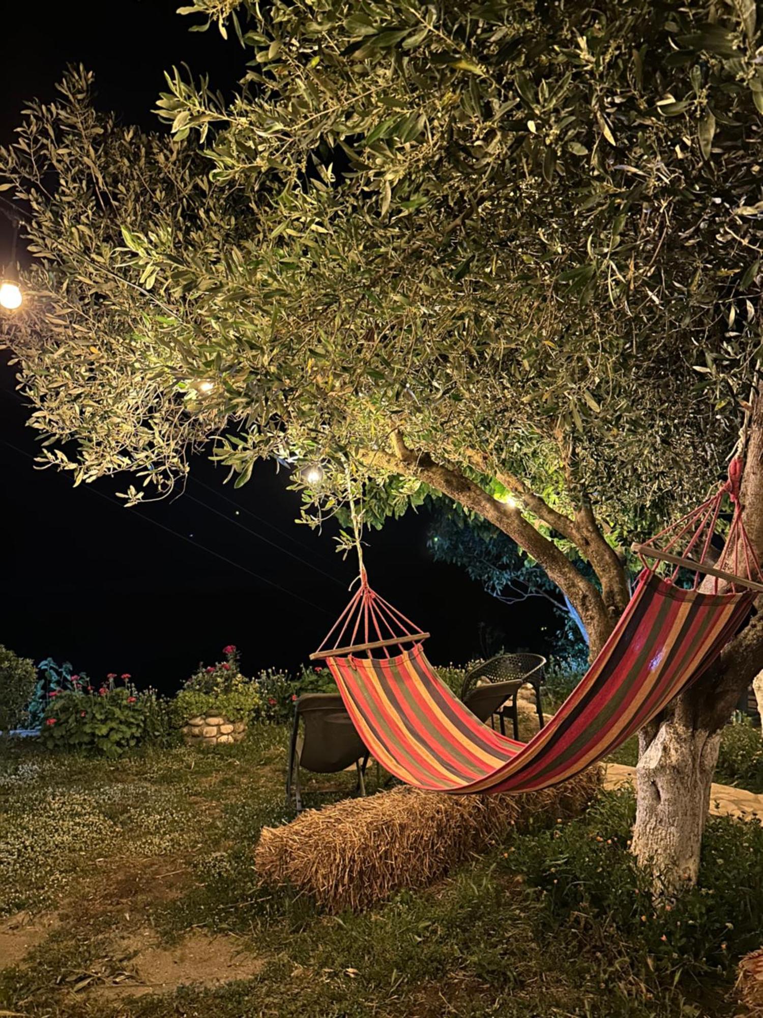 Vjosa Guest House Memaliaj Zewnętrze zdjęcie